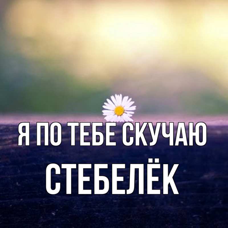 Картинка Я по тебе скучаю, Стебелёк