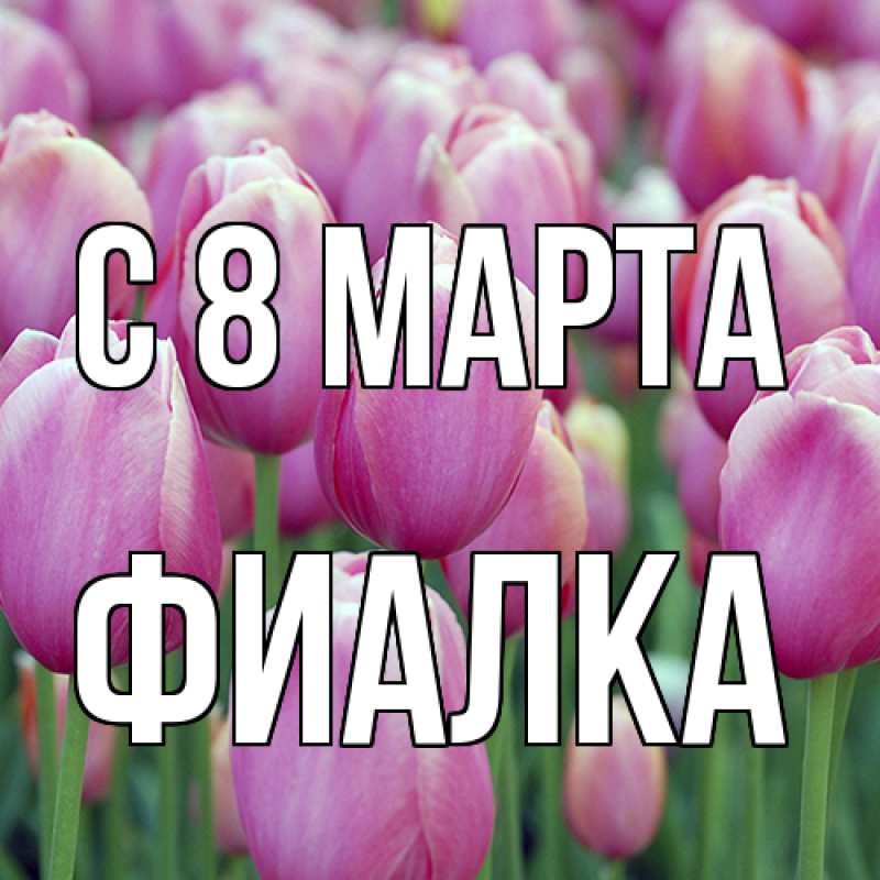 Картинка C 8 МАРТА, Фиалка