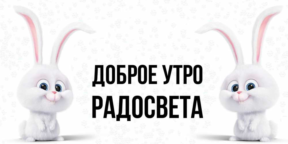 Открытка на каждый день с именем, Радосвета Доброе утро кролики с длинными ушками Прикольная открытка с пожеланием онлайн скачать бесплатно 
