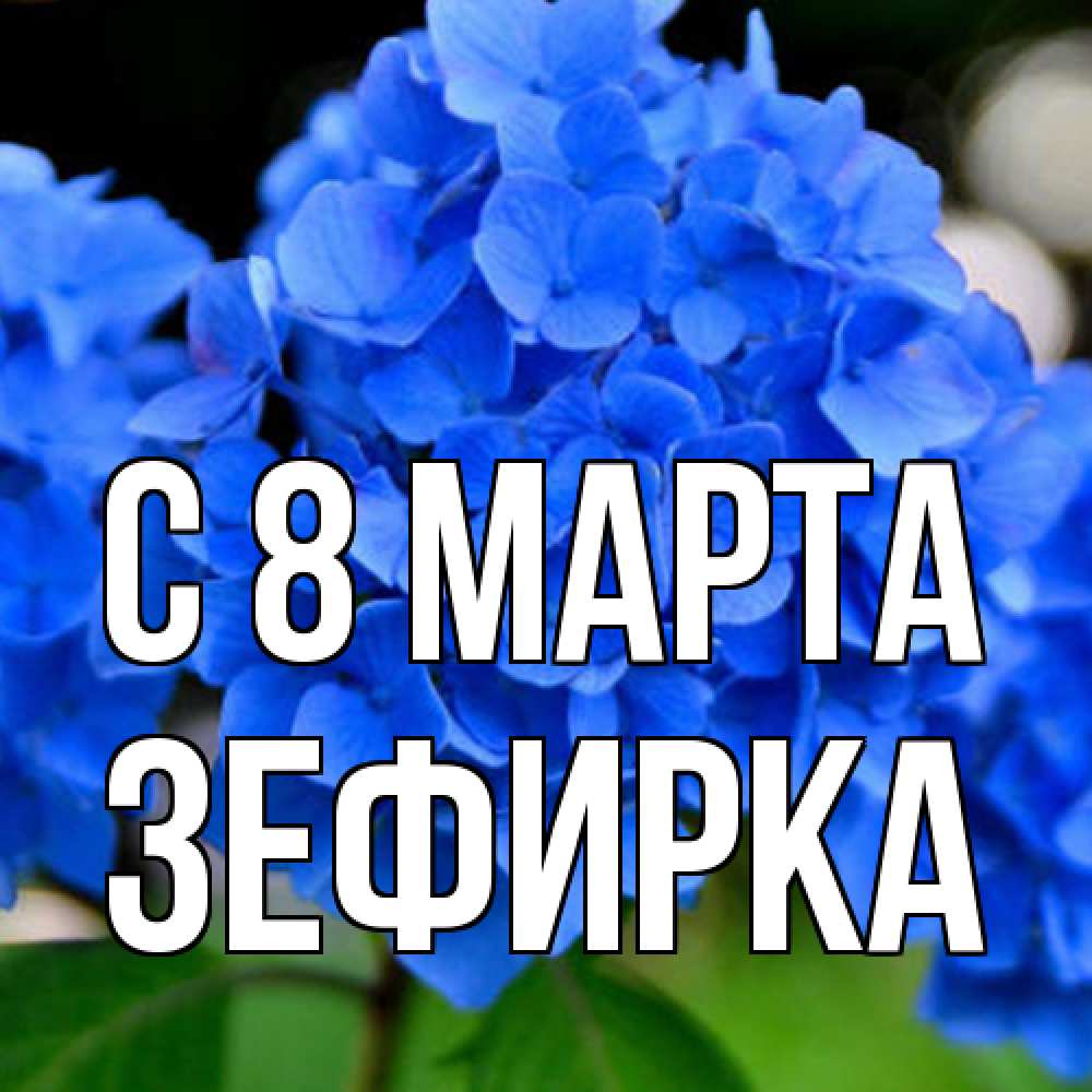Открытка на каждый день с именем, зефирка C 8 МАРТА синие цветы Прикольная открытка с пожеланием онлайн скачать бесплатно 