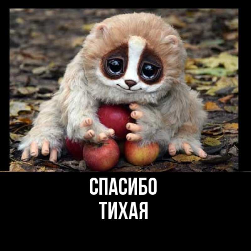 Картинка Спасибо, Тихая