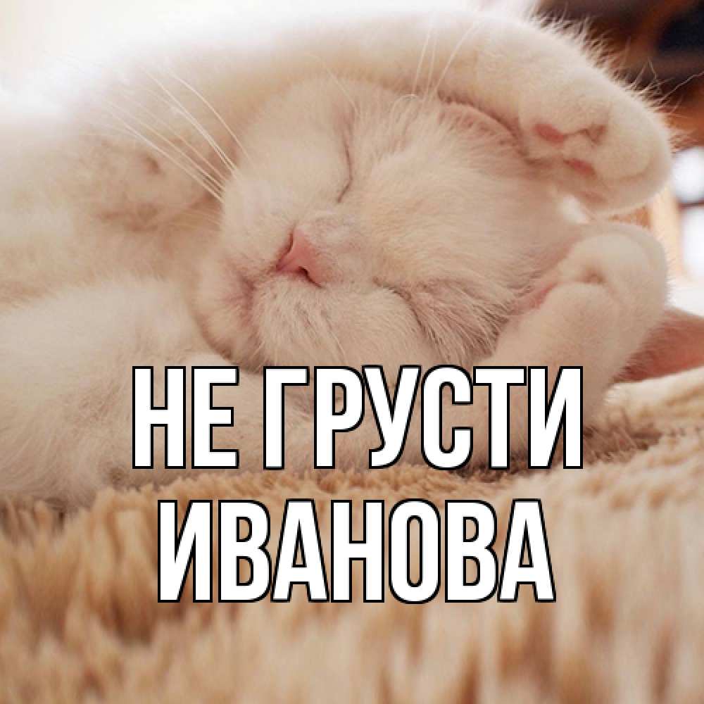 Открытка на каждый день с именем, Иванова Не грусти белый кот Прикольная открытка с пожеланием онлайн скачать бесплатно 
