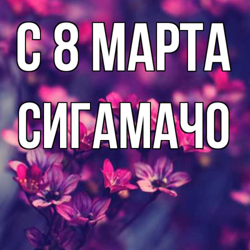 Картинка C 8 МАРТА, Сигамачо