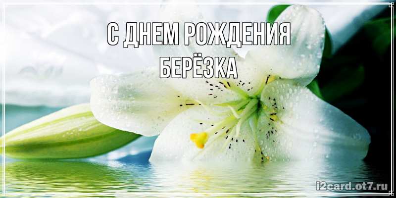 Картинка С днем рождения, Берёзка