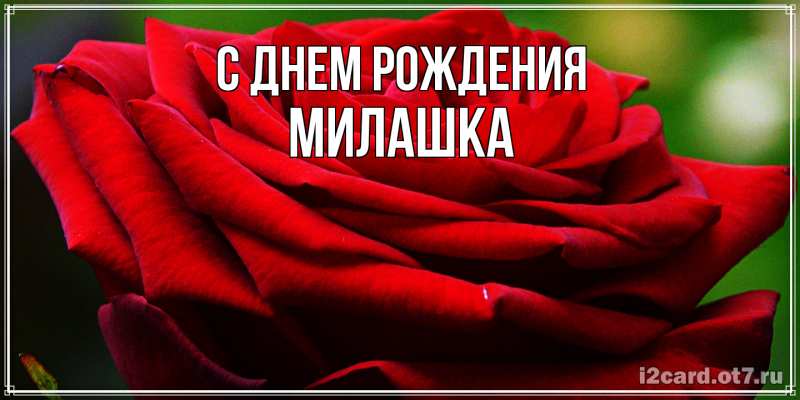 Картинка С днем рождения, Милашка