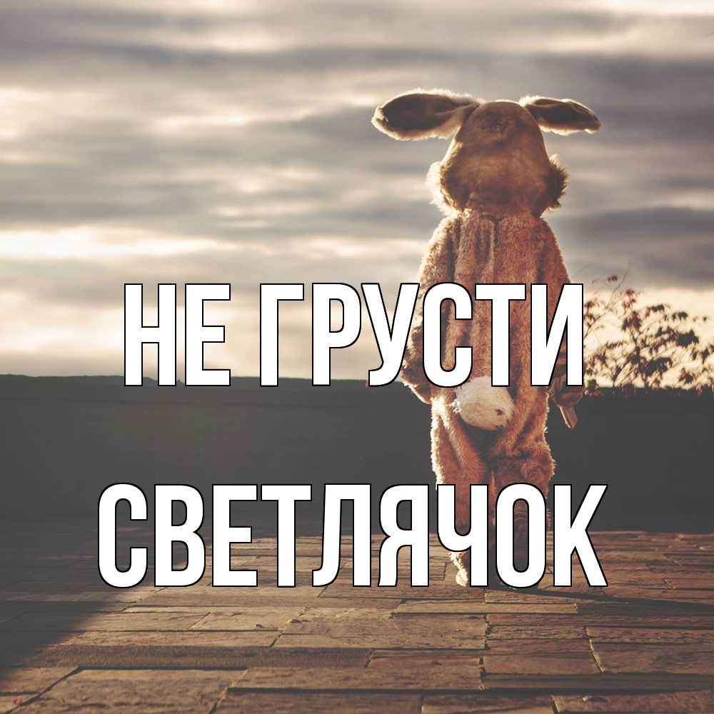 Открытка на каждый день с именем, Светлячок Не грусти со спины Прикольная открытка с пожеланием онлайн скачать бесплатно 