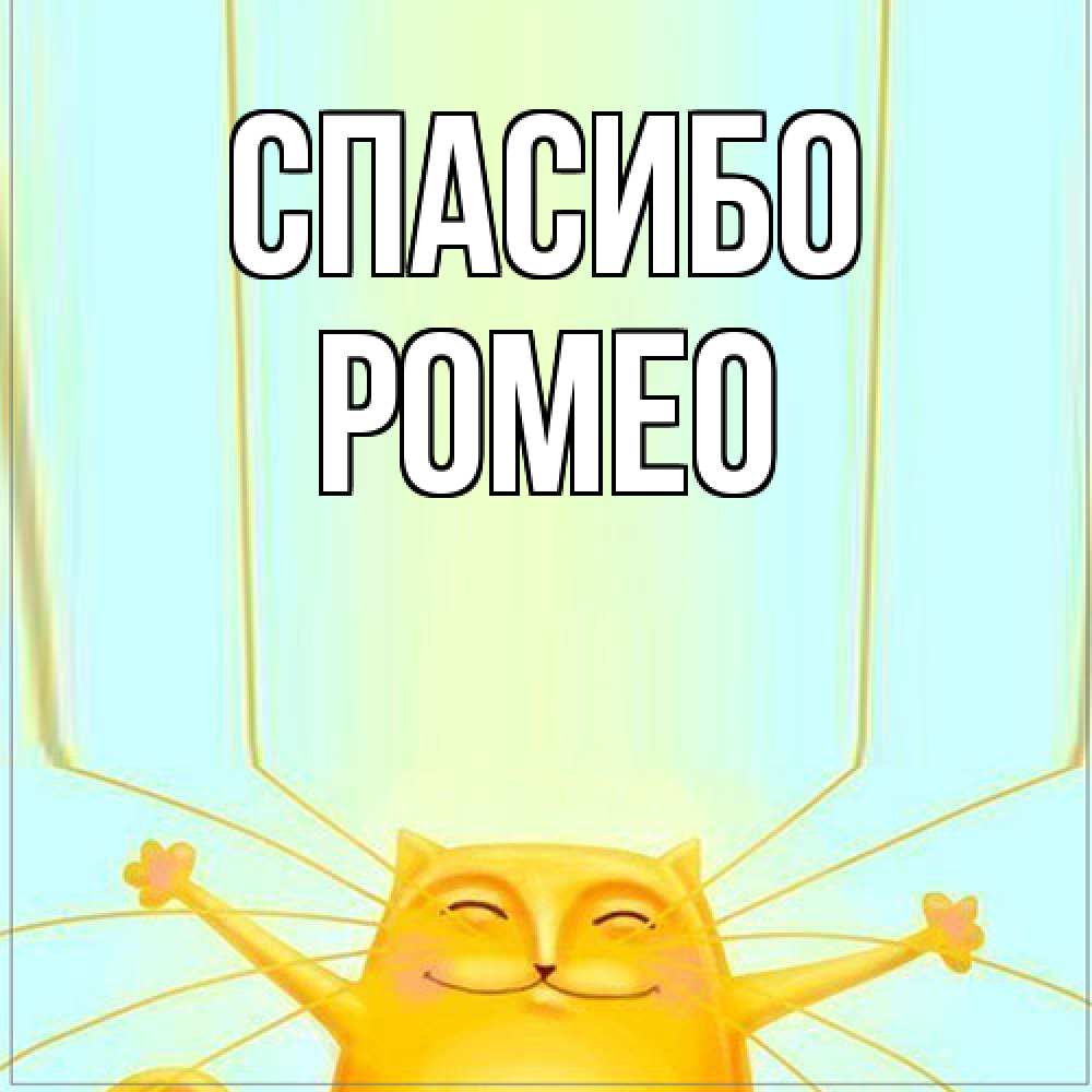 Открытка на каждый день с именем, Ромео Спасибо кот с усами благодарит Прикольная открытка с пожеланием онлайн скачать бесплатно 