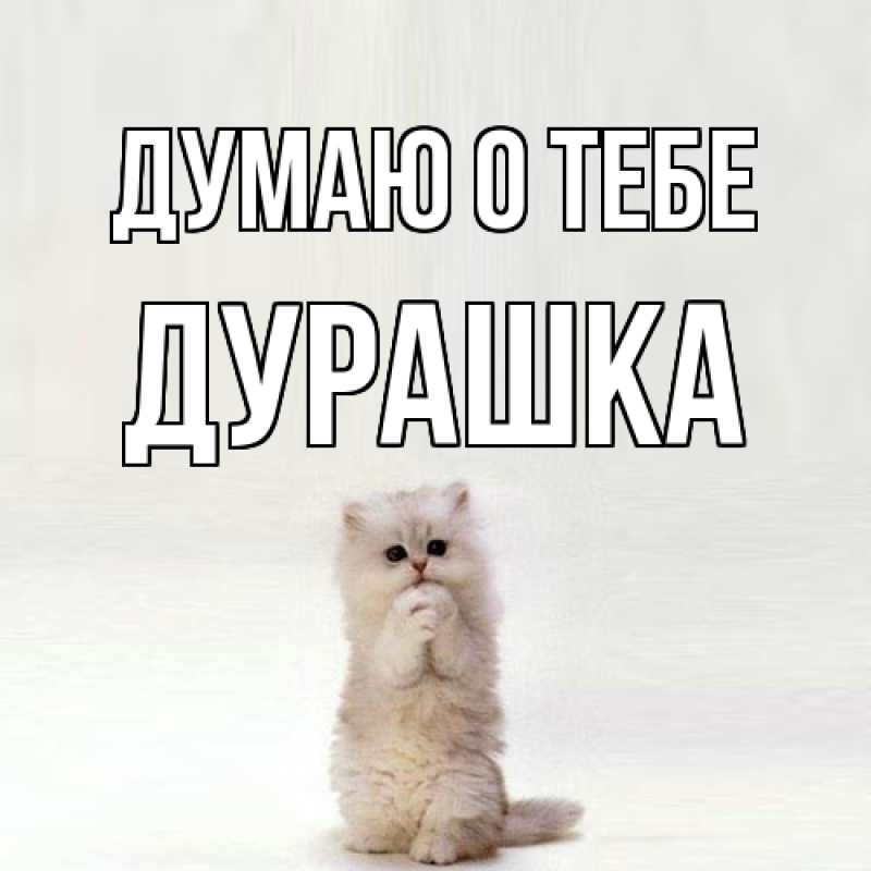 Картинка Думаю о тебе, Дурашка