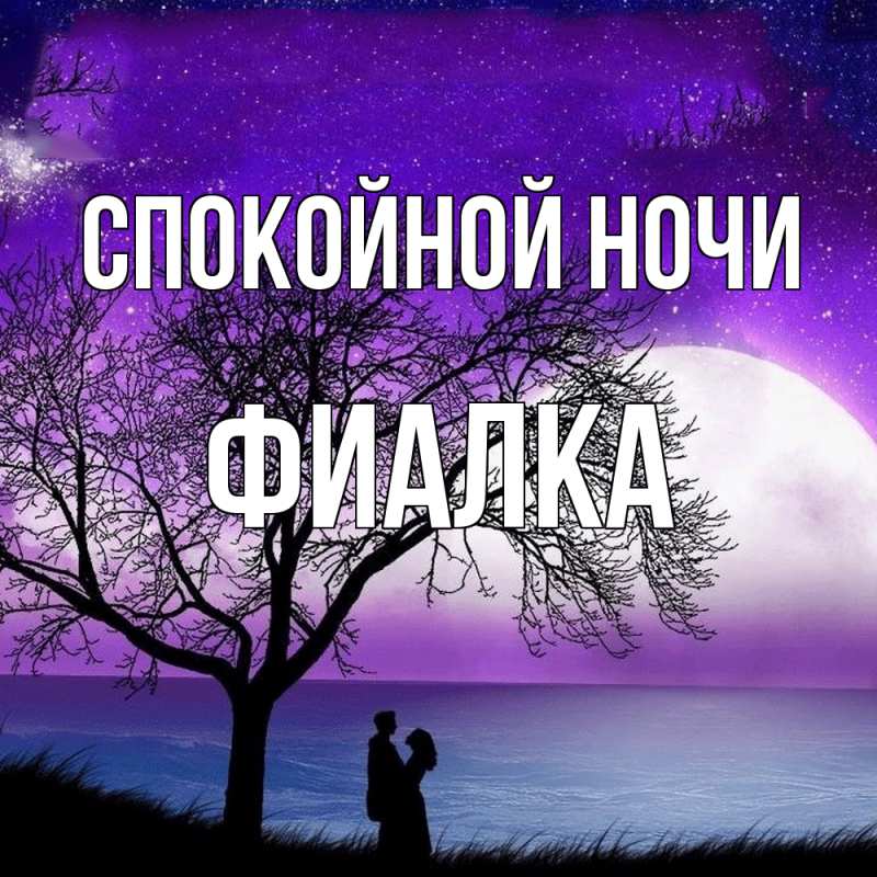 Картинка Спокойной ночи, Фиалка