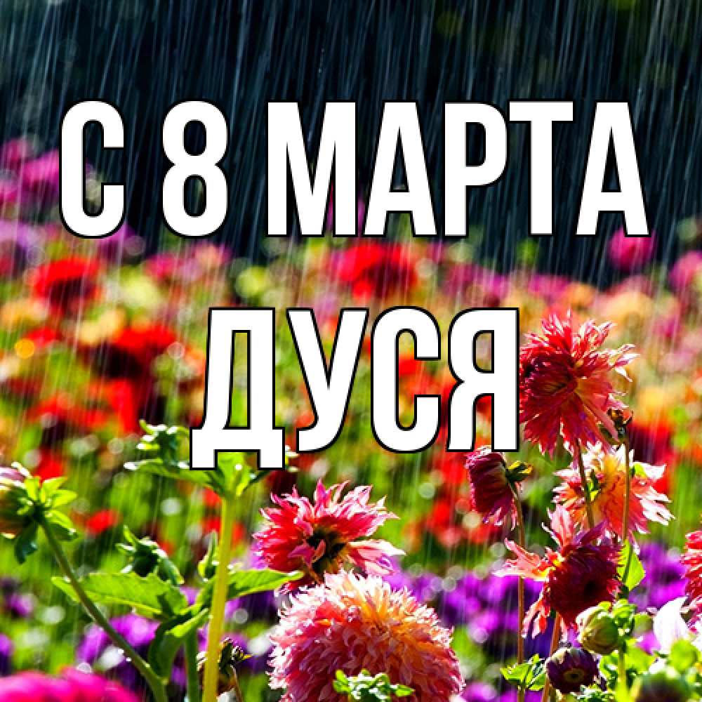 Открытка на каждый день с именем, Дуся C 8 МАРТА цветы под дождиком к международному женскому дню Прикольная открытка с пожеланием онлайн скачать бесплатно 