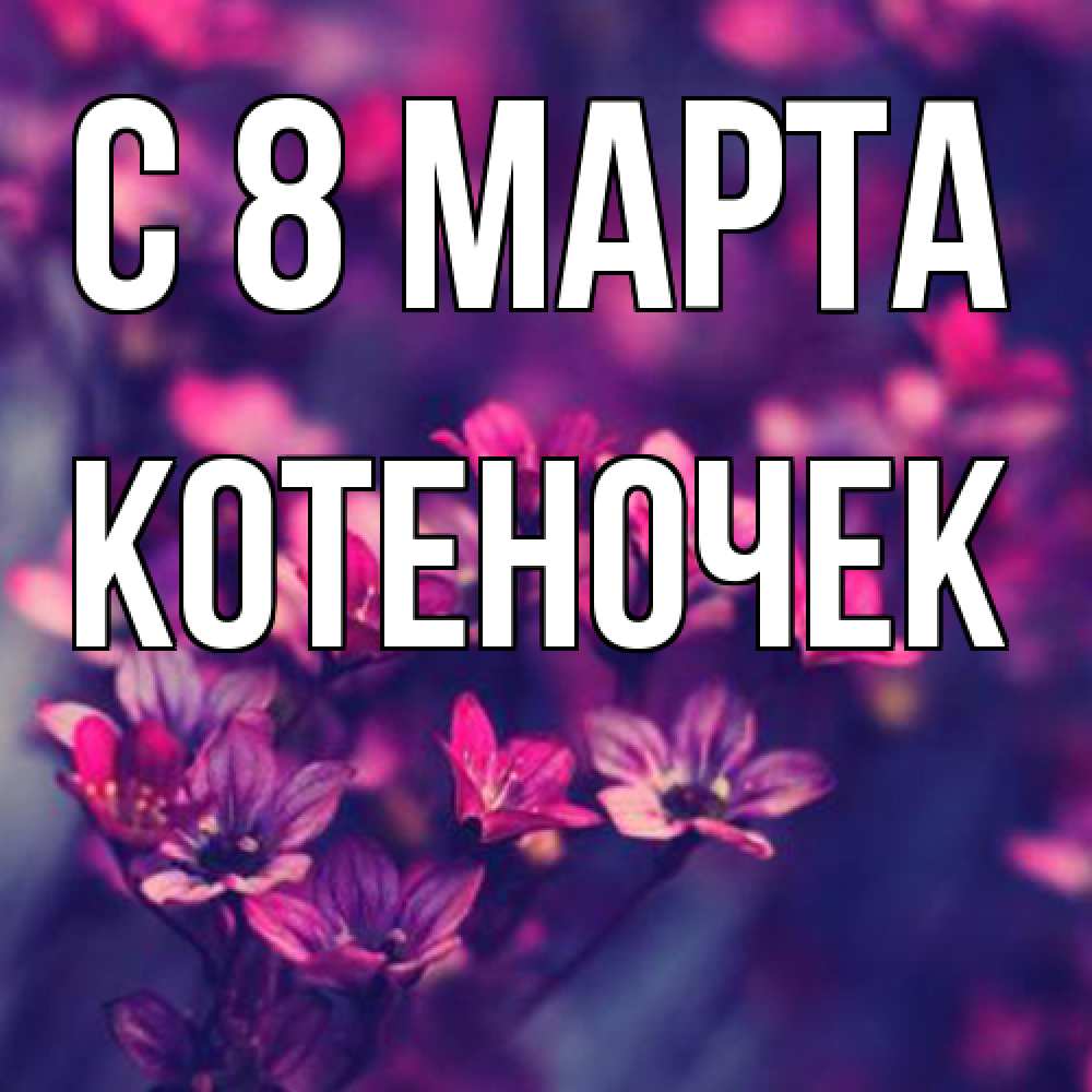 Открытка на каждый день с именем, Котеночек C 8 МАРТА небольшие цветы 1 Прикольная открытка с пожеланием онлайн скачать бесплатно 