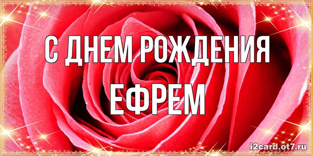 Открытка на каждый день с именем, Ефрем С днем рождения розовая роза очень крупный бутон Прикольная открытка с пожеланием онлайн скачать бесплатно 