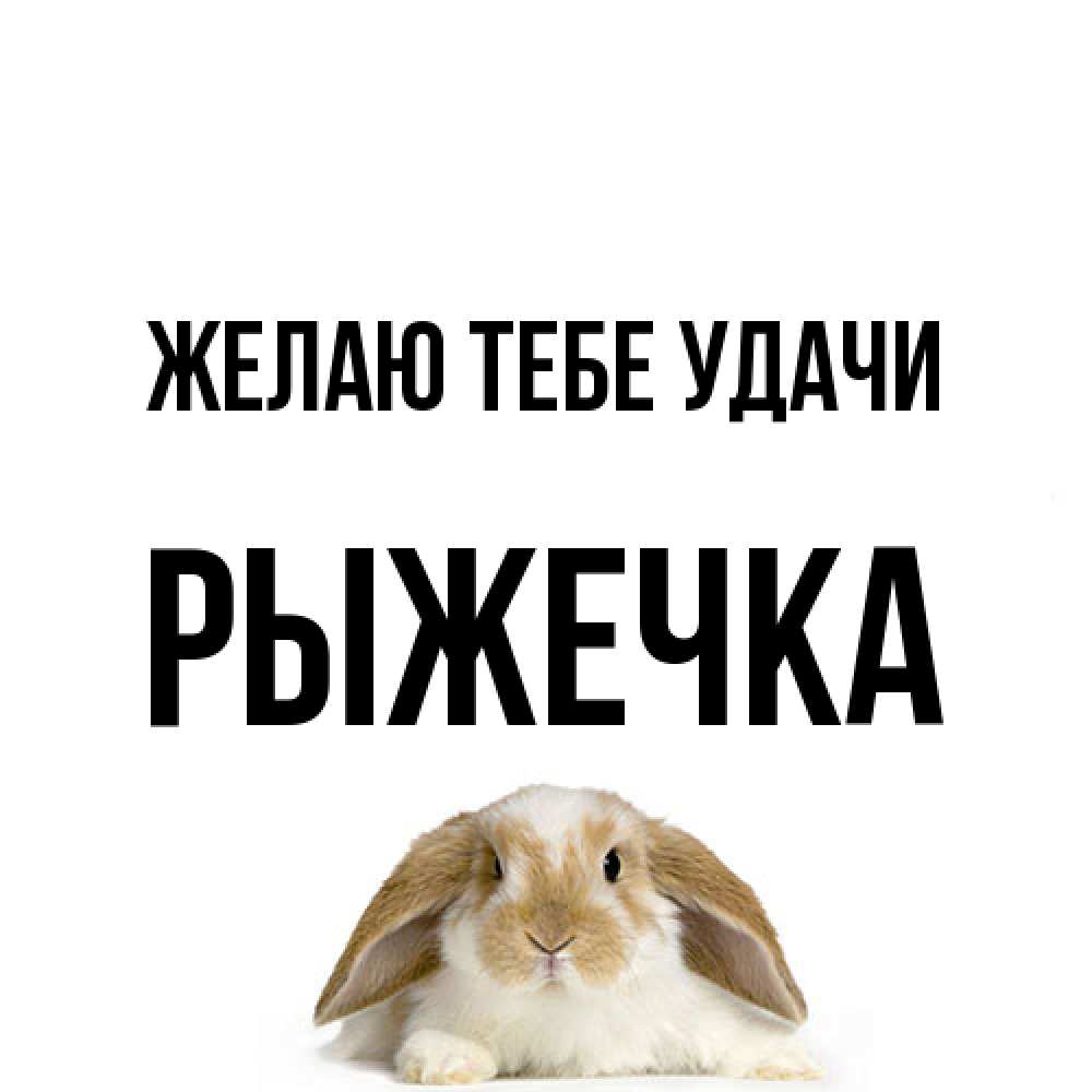 Открытка на каждый день с именем, рыжечка Желаю тебе удачи открытки с произвольным текстом который можно вставить в открытку и создать ее самостоятельно бесплатно онлайн Прикольная открытка с пожеланием онлайн скачать бесплатно 