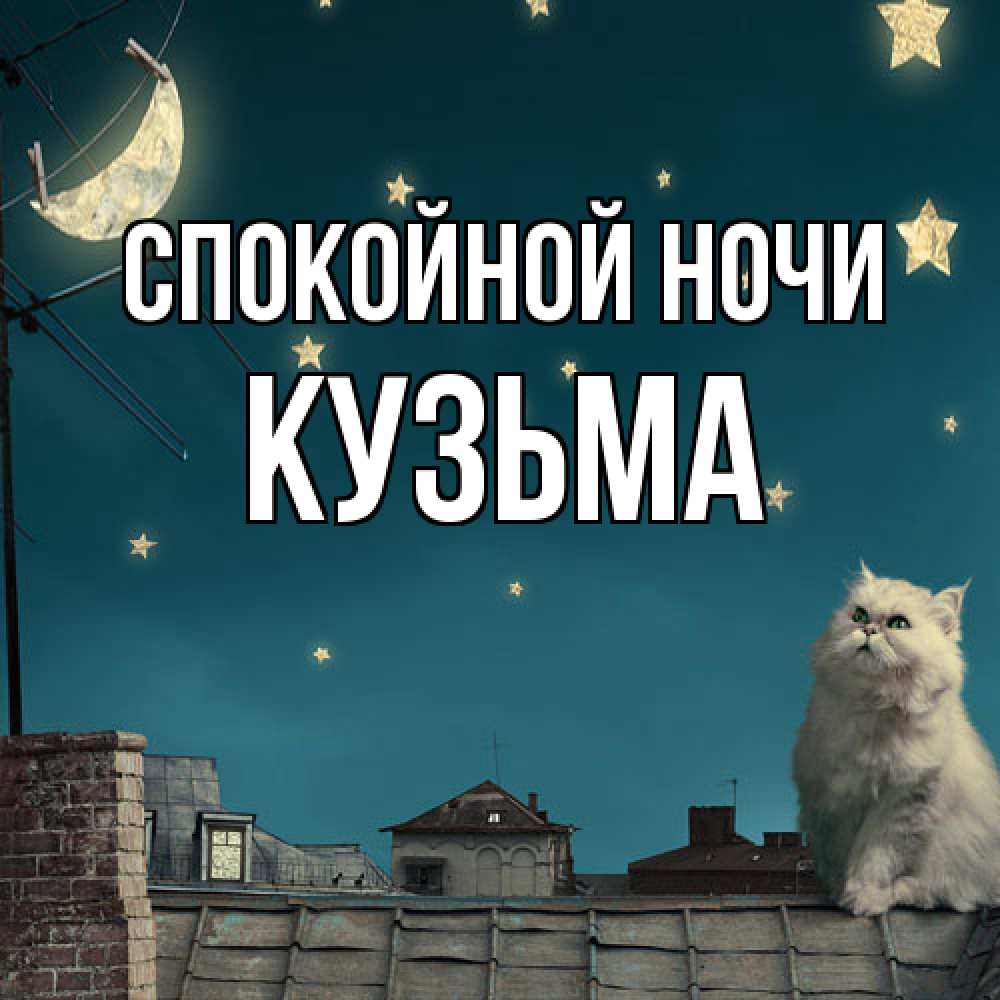 Открытка на каждый день с именем, Кузьма Спокойной ночи белый кот сидит на крыше Прикольная открытка с пожеланием онлайн скачать бесплатно 