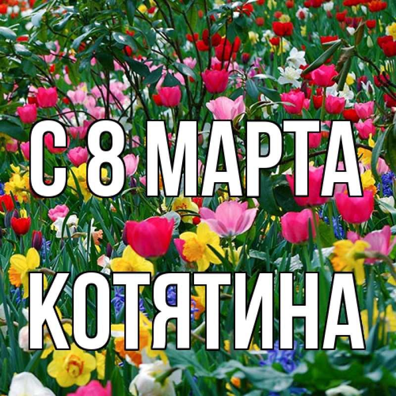 Картинка C 8 МАРТА, Котятина