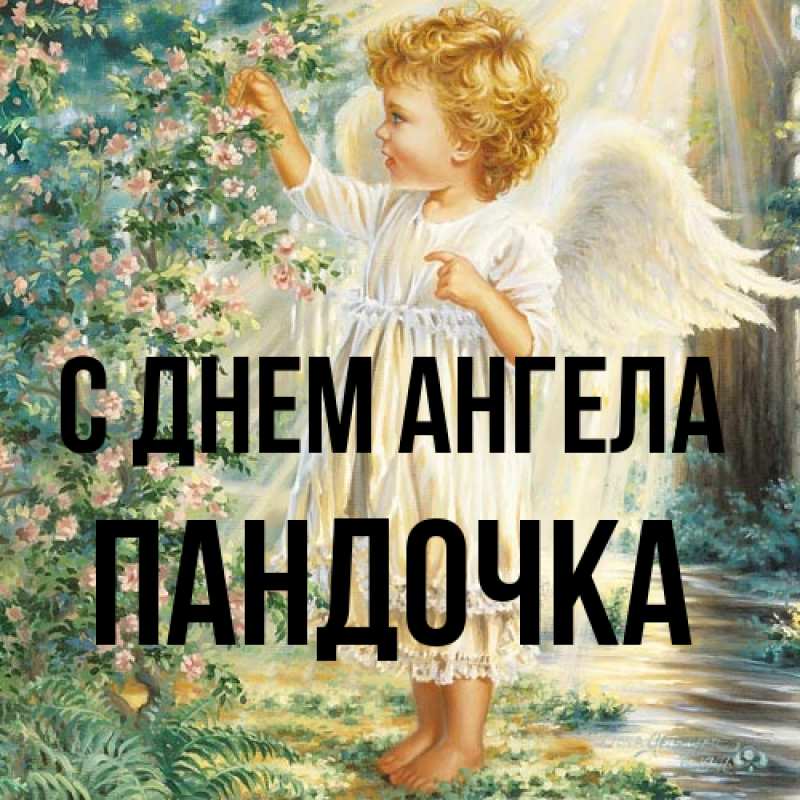 Картинка С днем ангела, пандочка