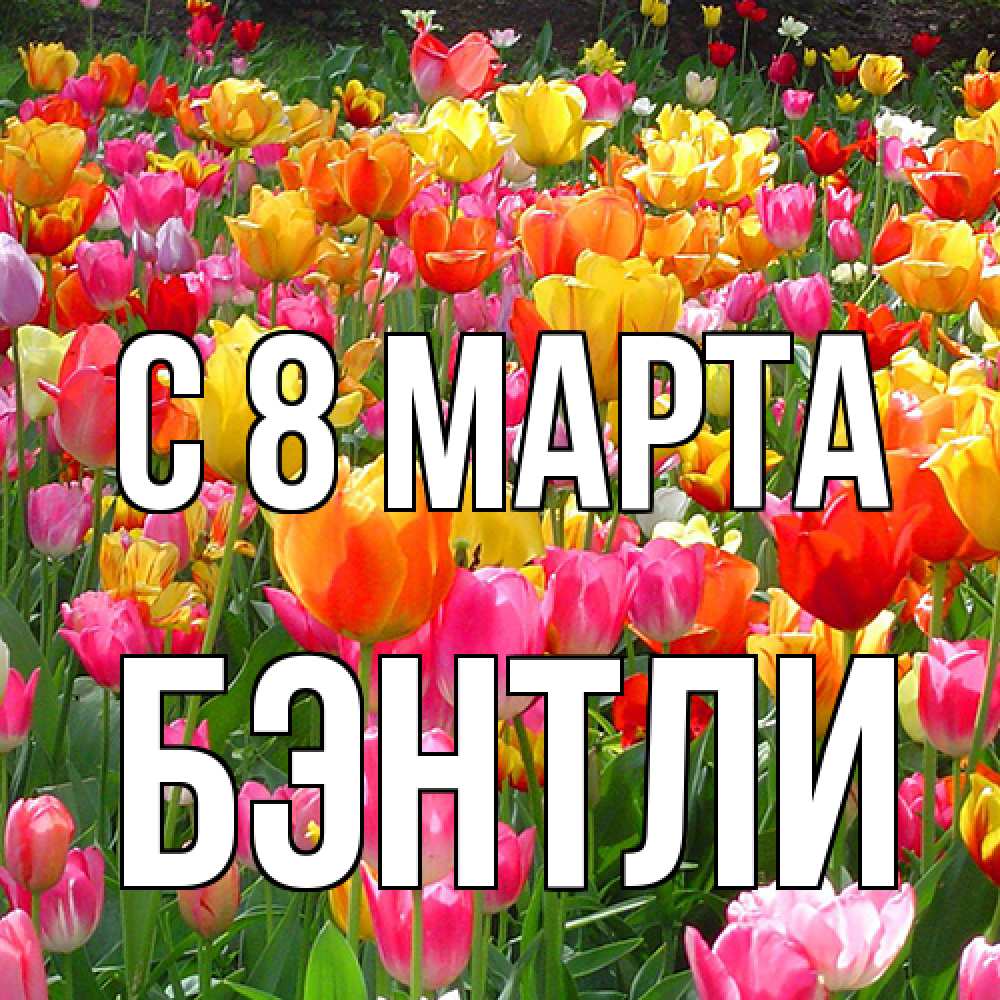 Открытка на каждый день с именем, Бэнтли C 8 МАРТА на международный женский день Прикольная открытка с пожеланием онлайн скачать бесплатно 