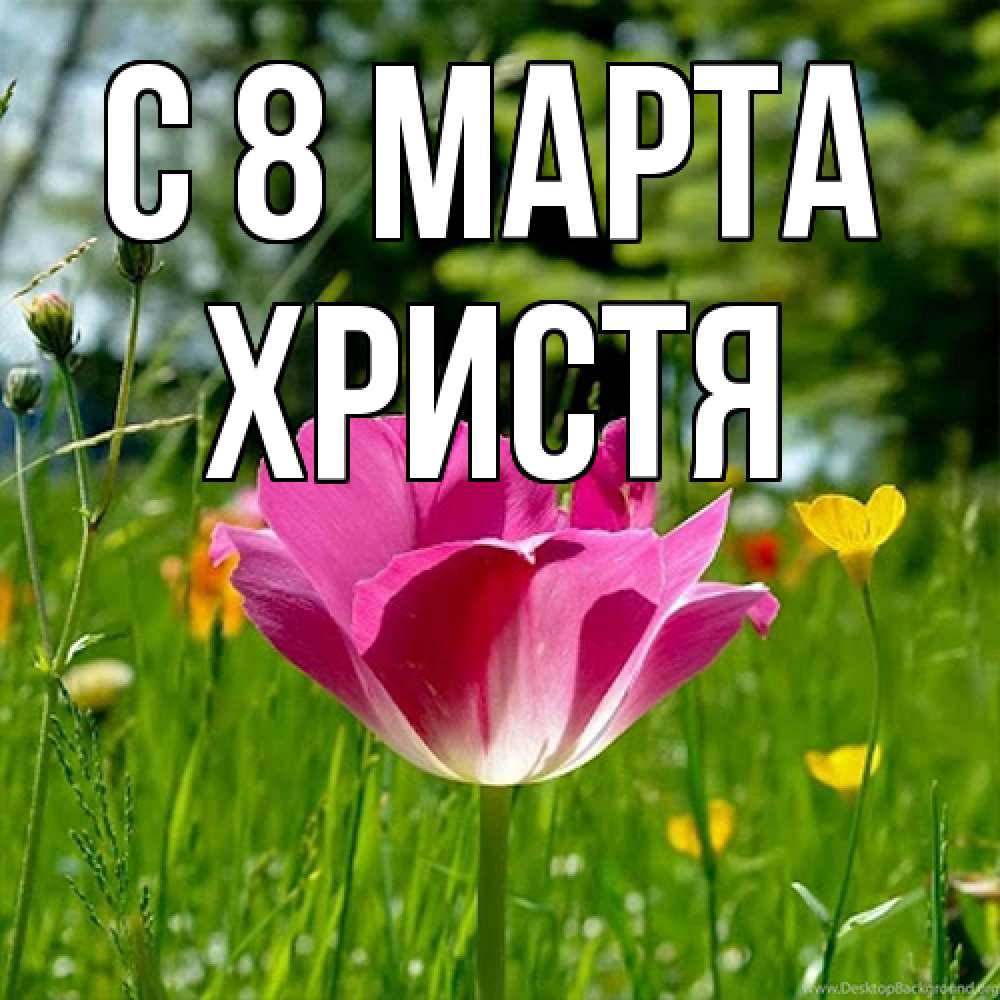 Открытка на каждый день с именем, Христя C 8 МАРТА полевые цветы Прикольная открытка с пожеланием онлайн скачать бесплатно 