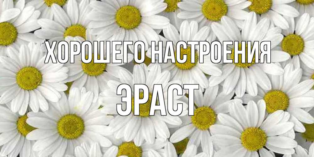 Открытка на каждый день с именем, Эраст Хорошего настроения поляна ромашек Прикольная открытка с пожеланием онлайн скачать бесплатно 