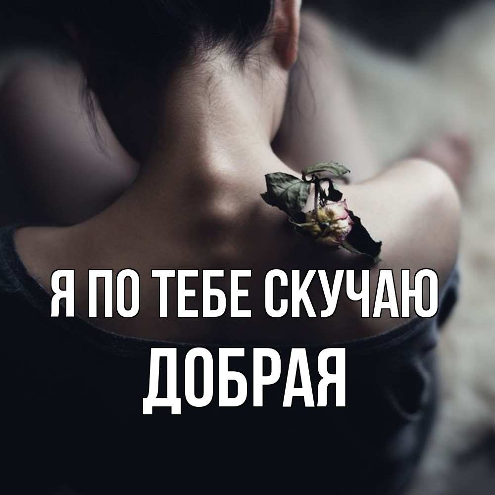 Открытка на каждый день с именем, Добрая Я по тебе скучаю засох цветок Прикольная открытка с пожеланием онлайн скачать бесплатно 