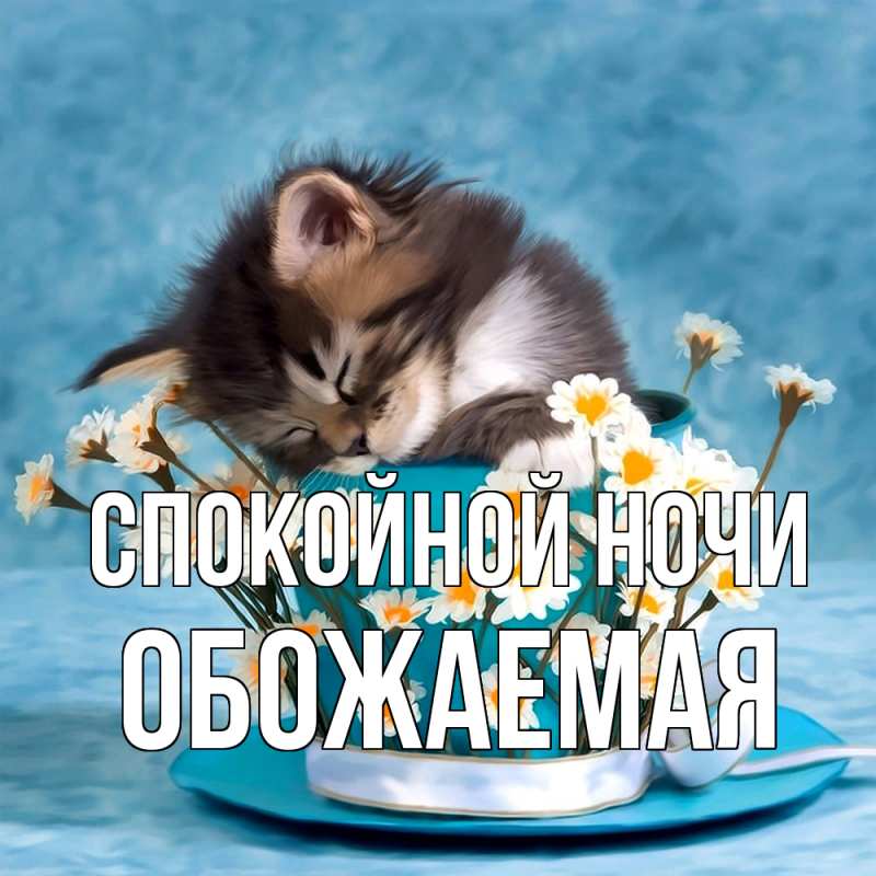 Картинка Спокойной ночи, обожаемая