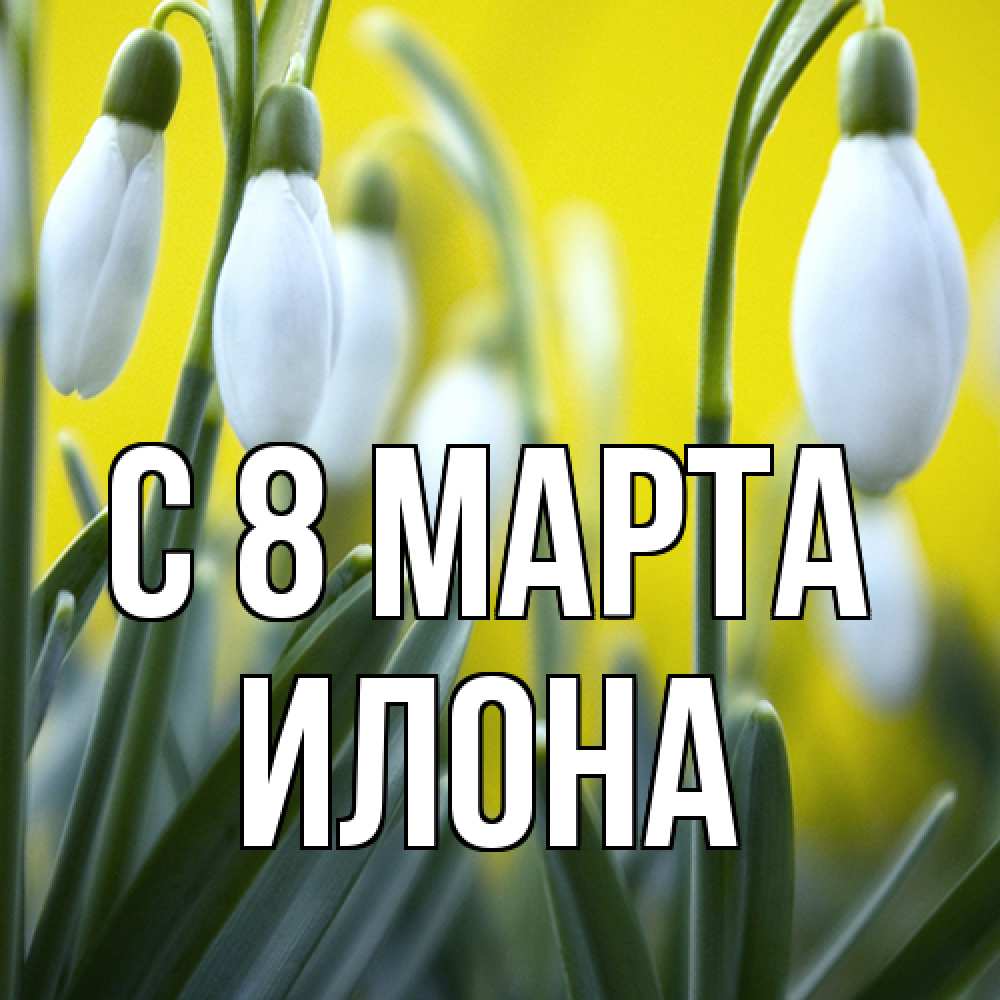 Открытка на каждый день с именем, Илона C 8 МАРТА весенние цветы Прикольная открытка с пожеланием онлайн скачать бесплатно 