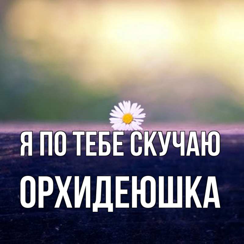 Картинка Я по тебе скучаю, Орхидеюшка