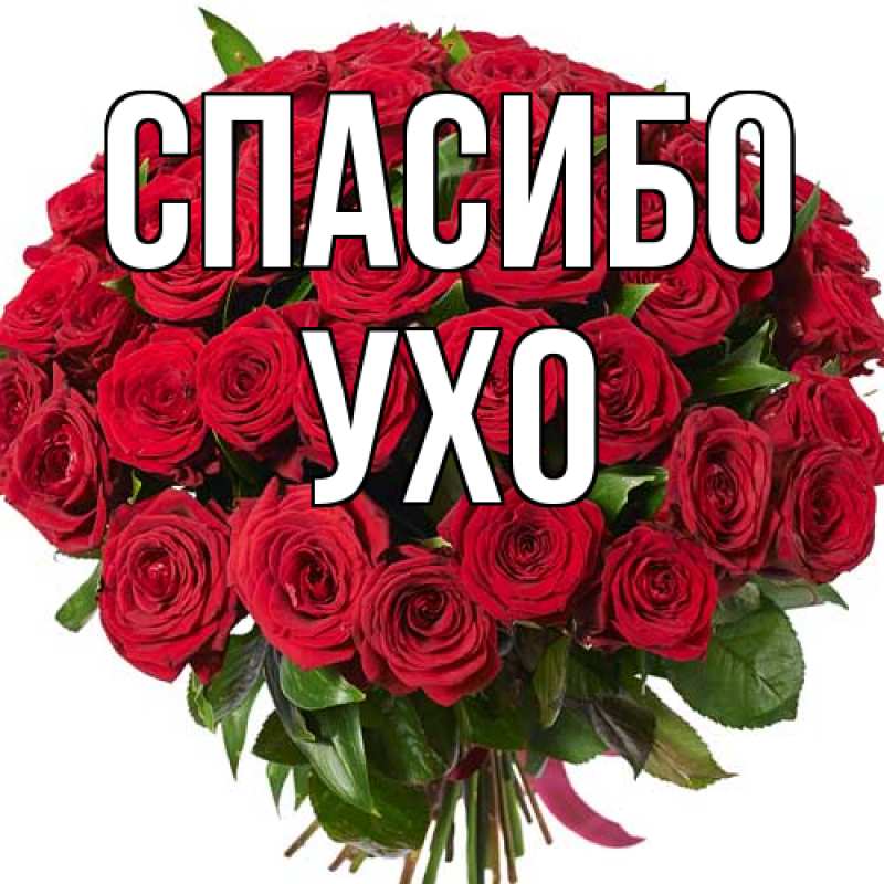 Картинка Спасибо, Ухо