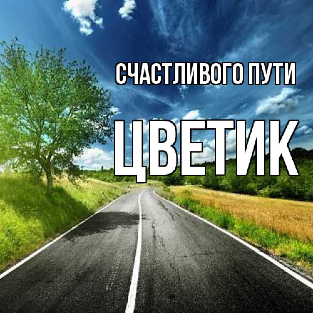 Открытка на каждый день с именем, цветик Счастливого пути яркие деревья и небо Прикольная открытка с пожеланием онлайн скачать бесплатно 