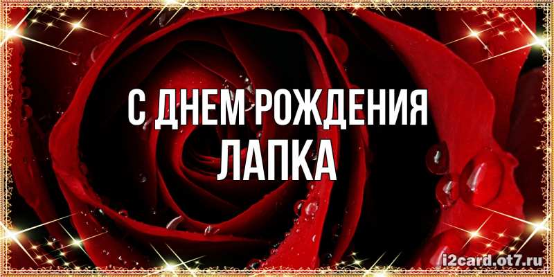 Картинка С днем рождения, лапка