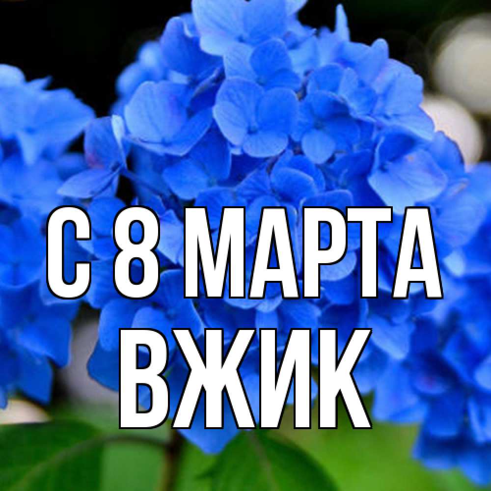 Открытка на каждый день с именем, Вжик C 8 МАРТА синие цветы Прикольная открытка с пожеланием онлайн скачать бесплатно 