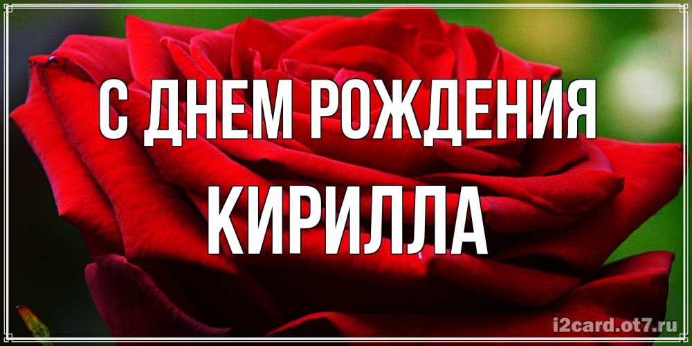 Открытка на каждый день с именем, Кирилла С днем рождения розочка очень красивая Прикольная открытка с пожеланием онлайн скачать бесплатно 