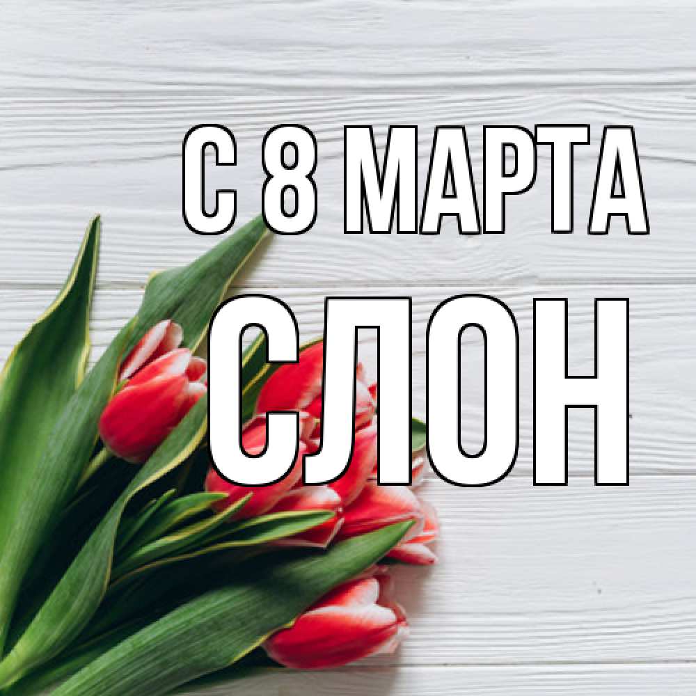 Открытка на каждый день с именем, Слон C 8 МАРТА весна 2 Прикольная открытка с пожеланием онлайн скачать бесплатно 