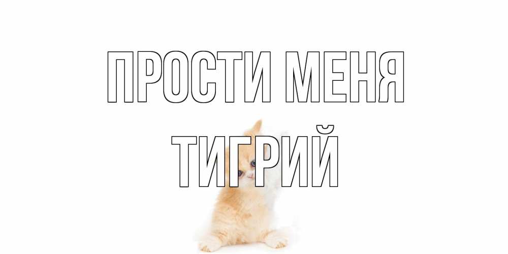 Открытка на каждый день с именем, Тигрий Прости меня кот Прикольная открытка с пожеланием онлайн скачать бесплатно 