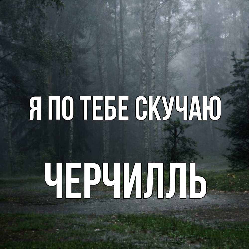 Открытка на каждый день с именем, Черчилль Я по тебе скучаю одна и плохо мне Прикольная открытка с пожеланием онлайн скачать бесплатно 