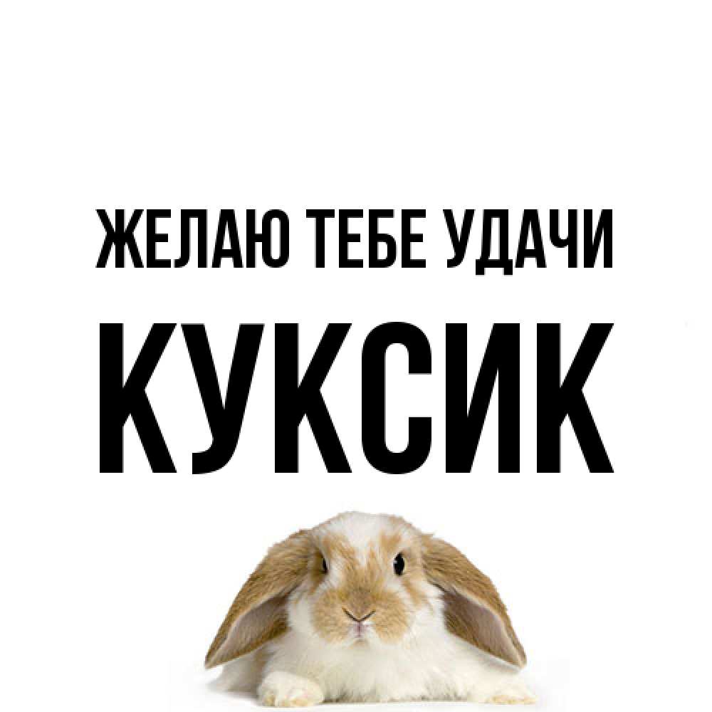 Открытка на каждый день с именем, куксик Желаю тебе удачи открытки с произвольным текстом который можно вставить в открытку и создать ее самостоятельно бесплатно онлайн Прикольная открытка с пожеланием онлайн скачать бесплатно 