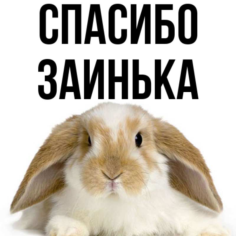 Картинка Спасибо, Заинька