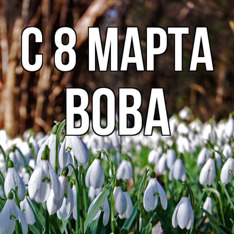 Картинка C 8 МАРТА, Вова