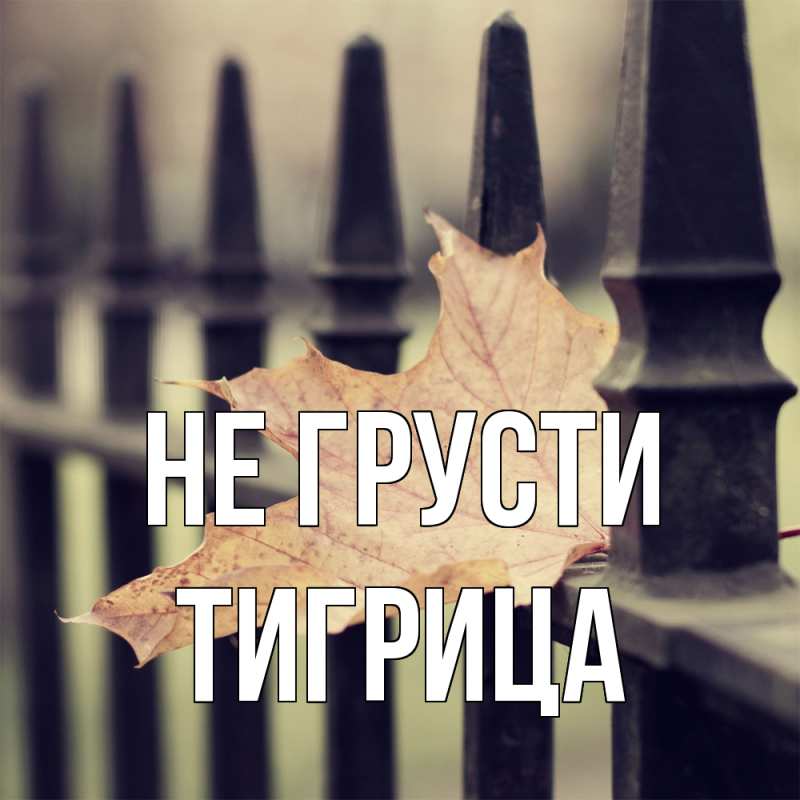 Картинка Не грусти, Тигрица