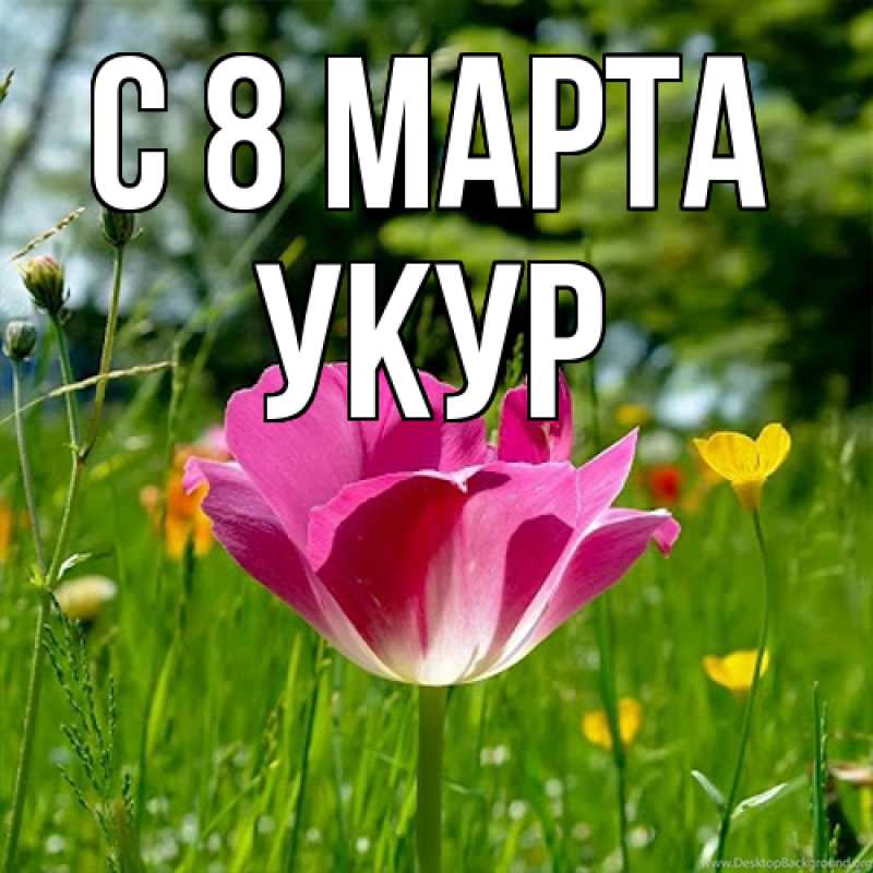 Картинка C 8 МАРТА, Укур