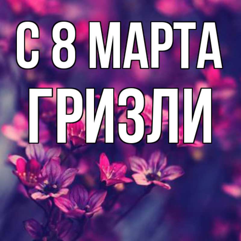 Картинка C 8 МАРТА, Гризли