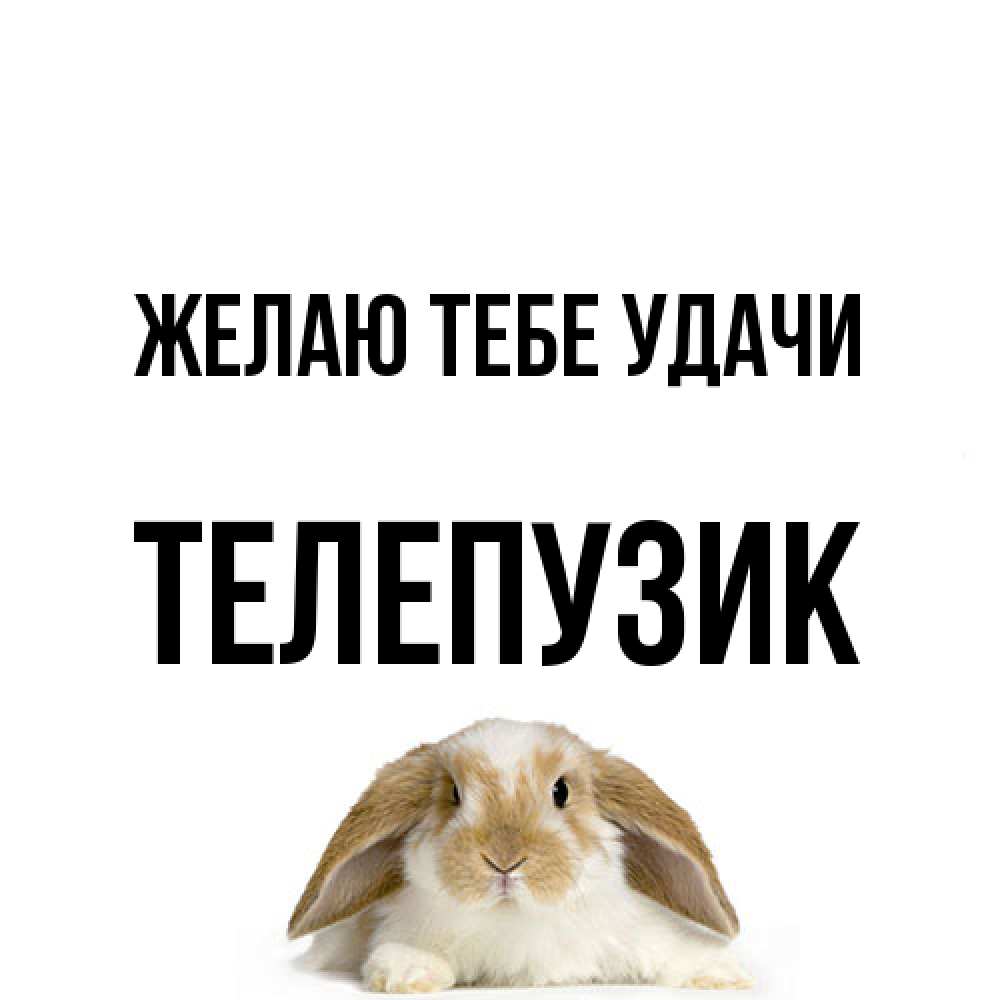 Открытка на каждый день с именем, Телепузик Желаю тебе удачи открытки с произвольным текстом который можно вставить в открытку и создать ее самостоятельно бесплатно онлайн Прикольная открытка с пожеланием онлайн скачать бесплатно 