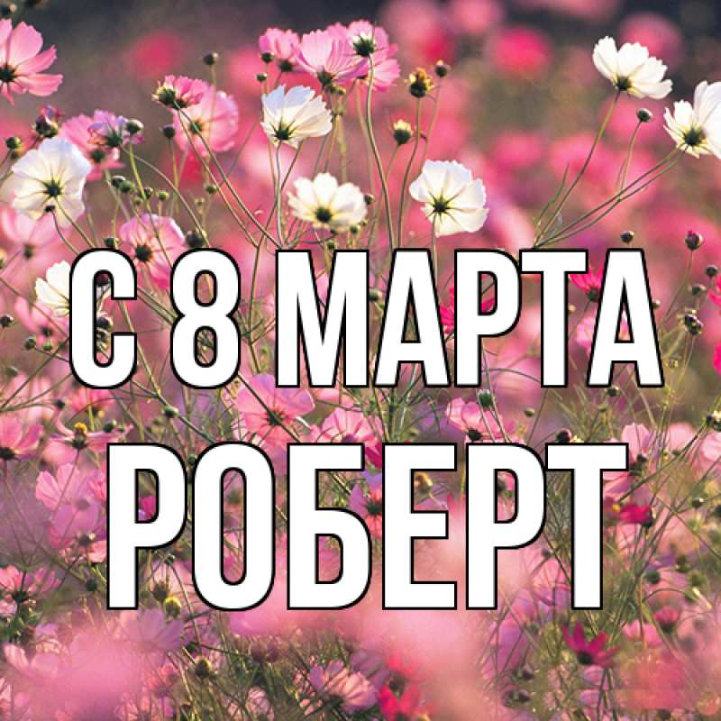 Картинка C 8 МАРТА, Роберт