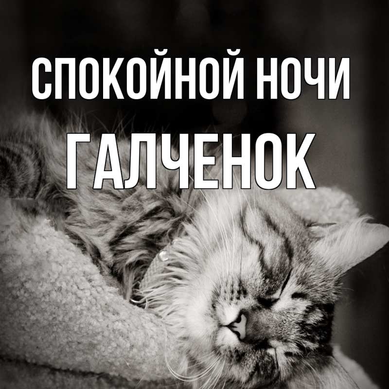 Картинка Спокойной ночи, Галченок