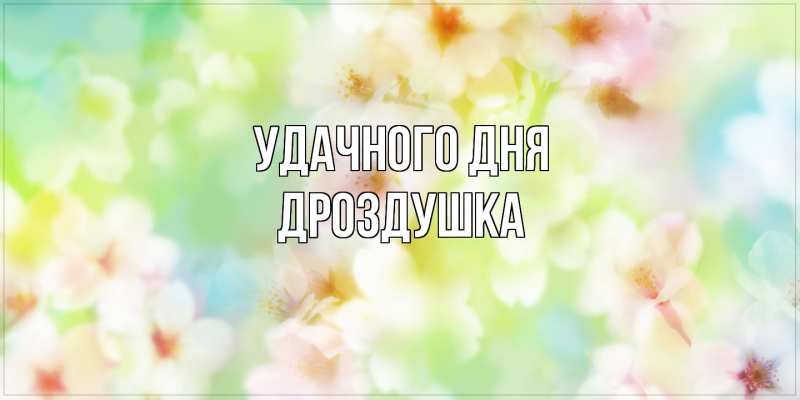 Картинка Удачного дня, Дроздушка