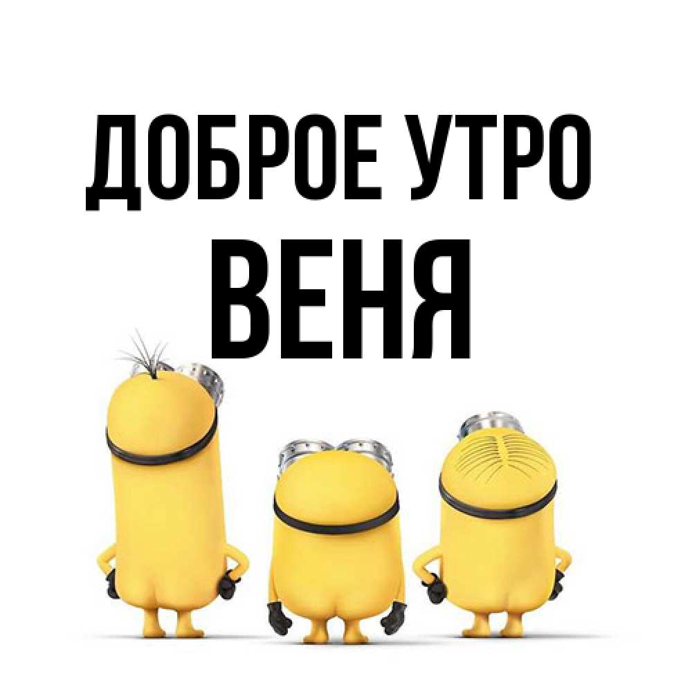 Открытка на каждый день с именем, Веня Доброе утро подписать открытку онлайн бесплатно Прикольная открытка с пожеланием онлайн скачать бесплатно 