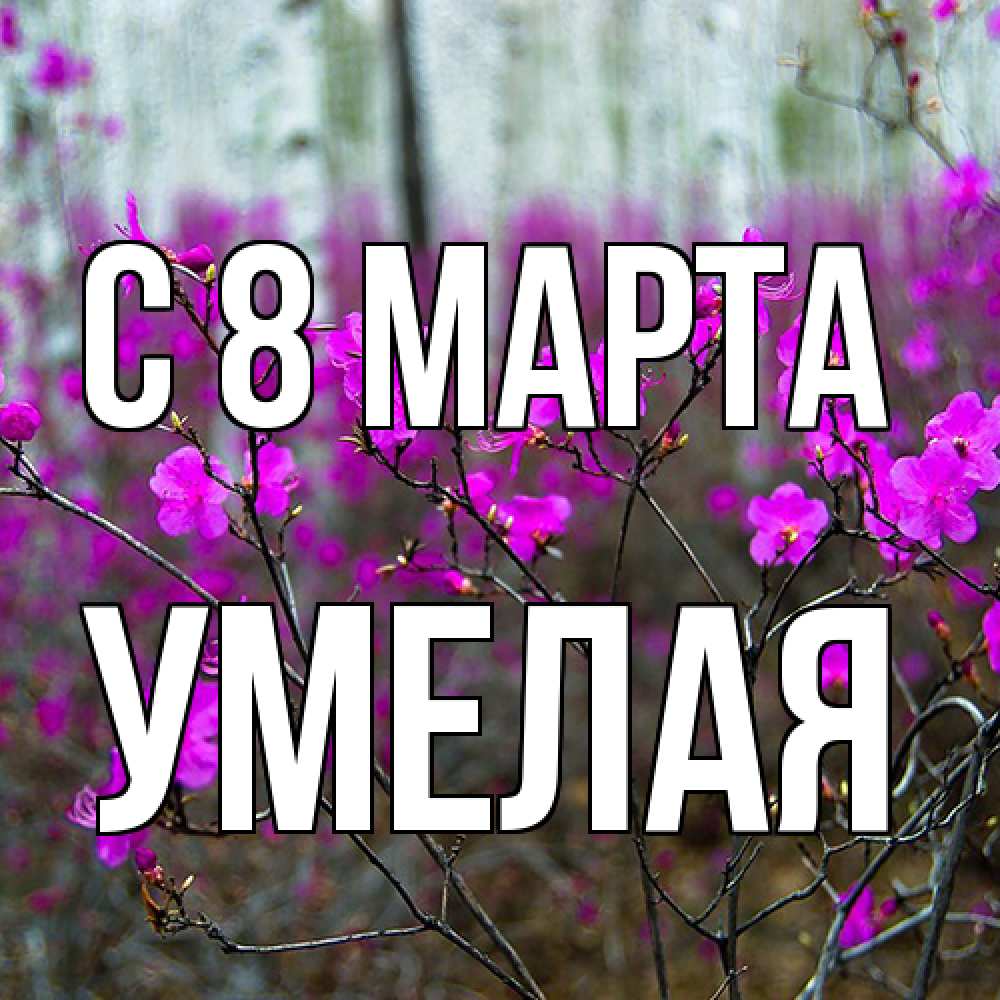 Открытка на каждый день с именем, Умелая C 8 МАРТА дикие цветы Прикольная открытка с пожеланием онлайн скачать бесплатно 