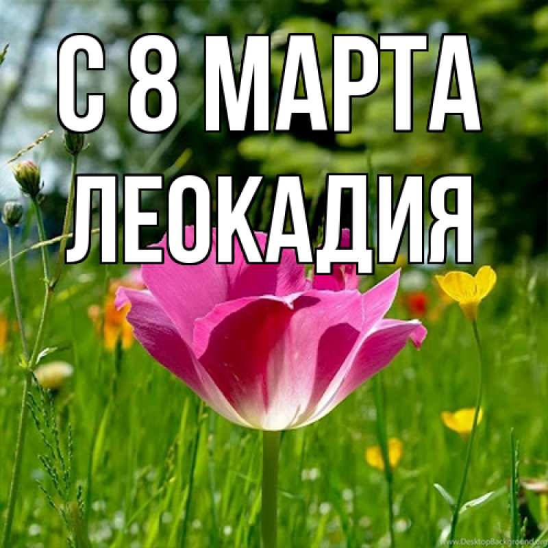Картинка C 8 МАРТА, Леокадия