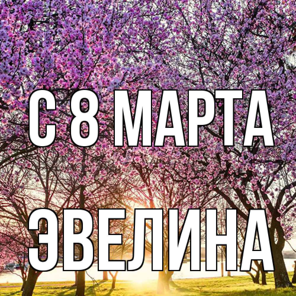 Открытка на каждый день с именем, Эвелина C 8 МАРТА международный женский день Прикольная открытка с пожеланием онлайн скачать бесплатно 