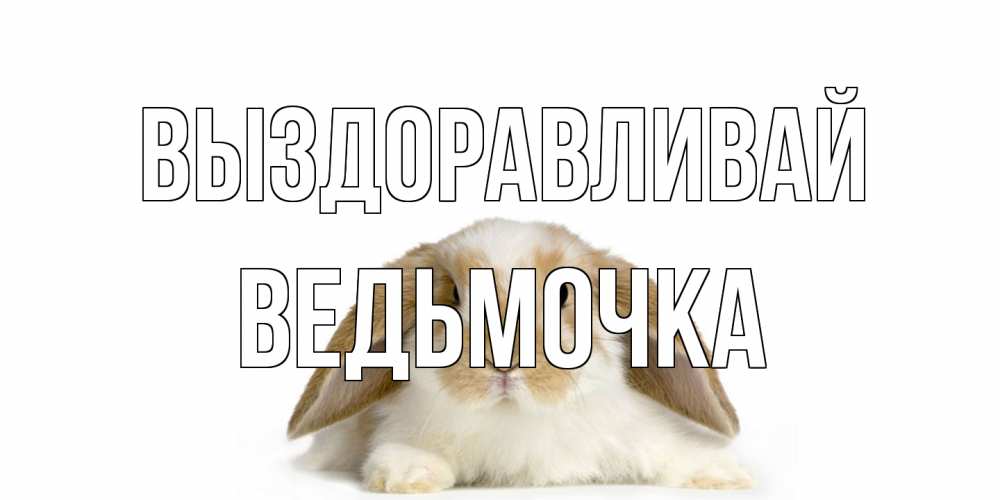 Открытка на каждый день с именем, Ведьмочка Выздоравливай вислоухий кролик белого и коричневого цвета Прикольная открытка с пожеланием онлайн скачать бесплатно 